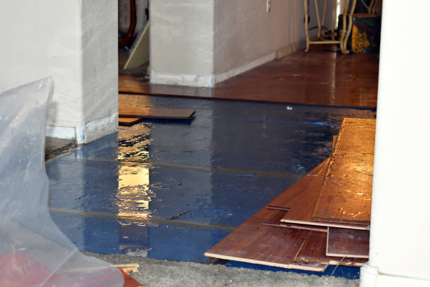 Professional Basement Flood Cleanup technician working in Hallam, PA